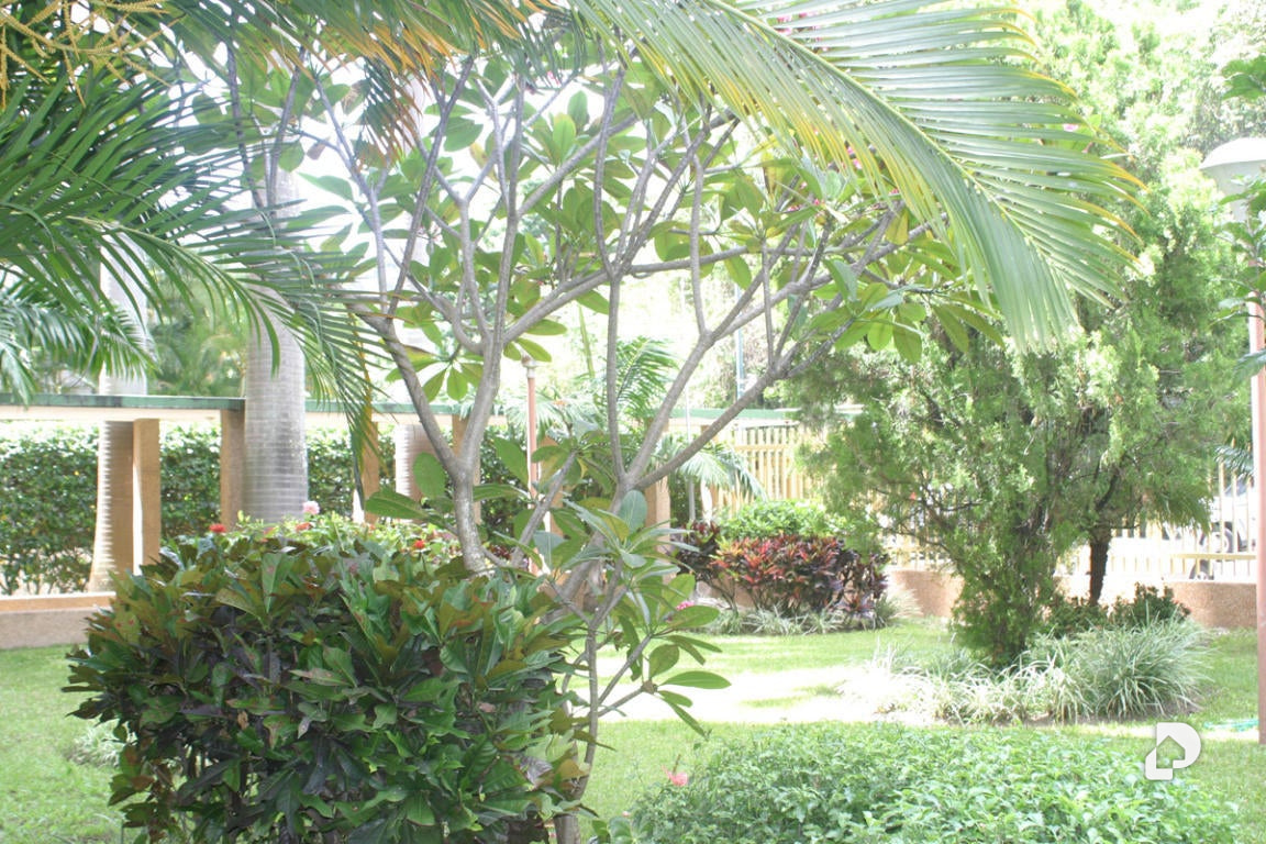 Apartamento en Colinas de Bello Monte, Caracas – 28