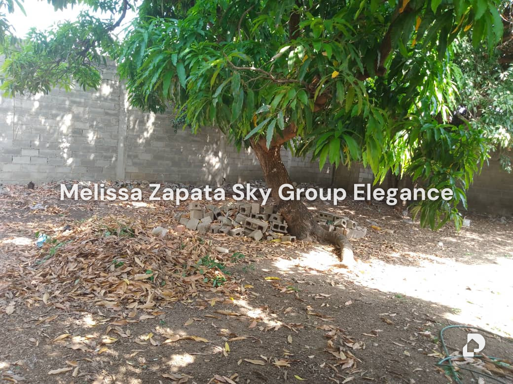Land in Barquisimeto – 2