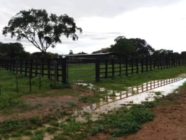 Finca en San Fernando de Apure - 1