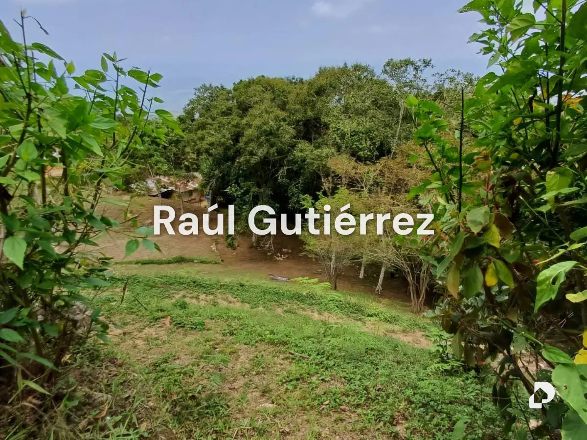Finca en Venta Posada, San Pedro – 6