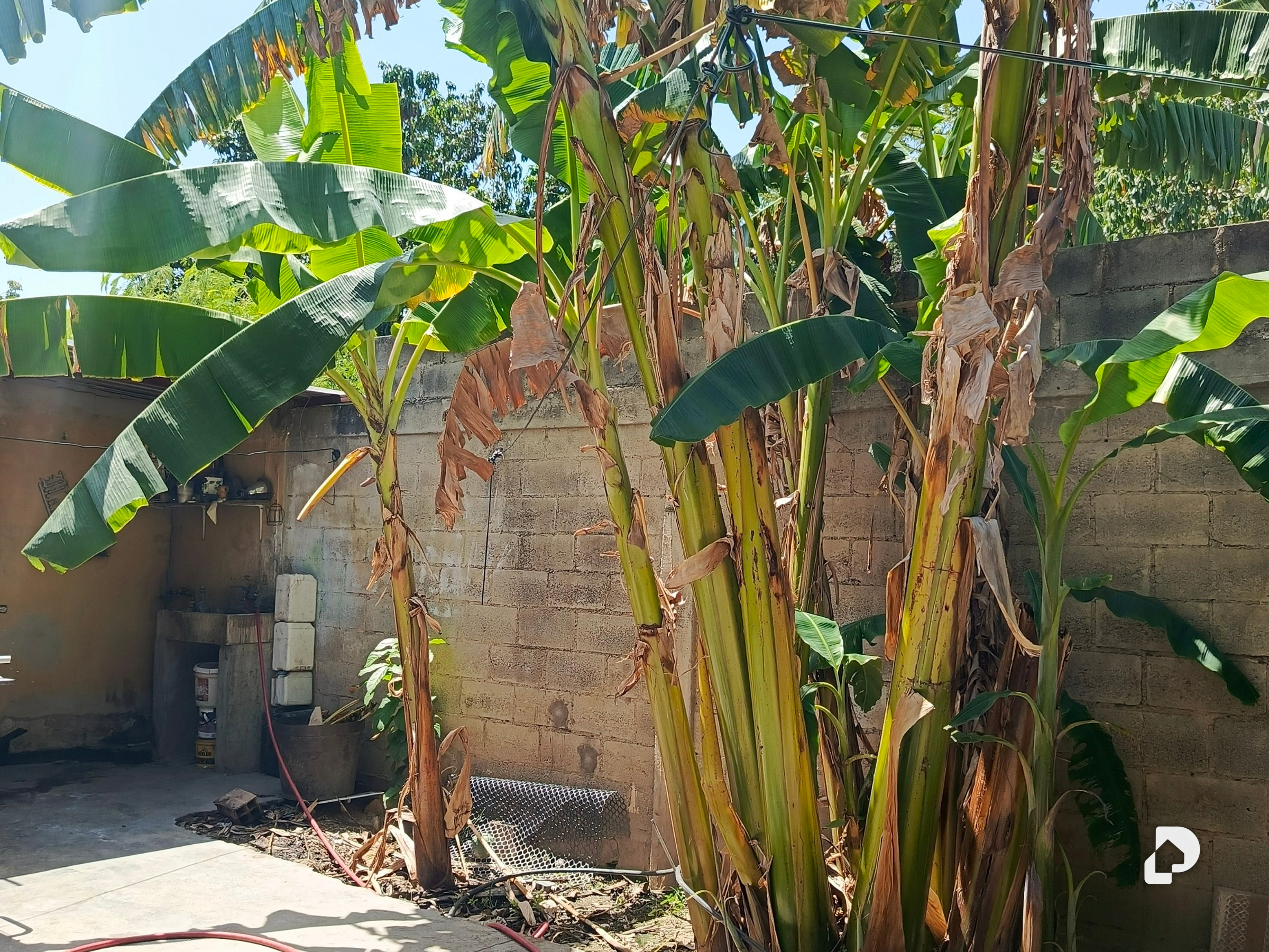 Casa en Santa Cruz – 26