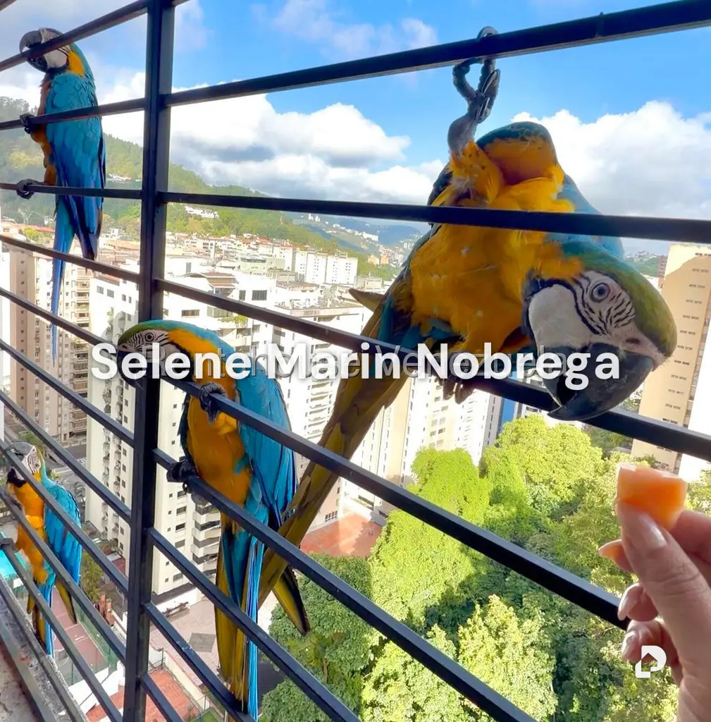 Apartamento en El Cigarral, Caracas – 8
