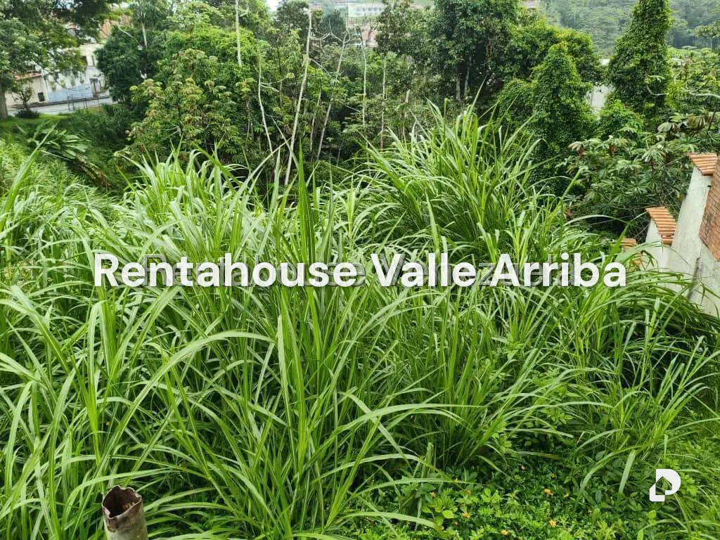 Terreno en Parque el Retiro, San Antonio de Los Altos – 6