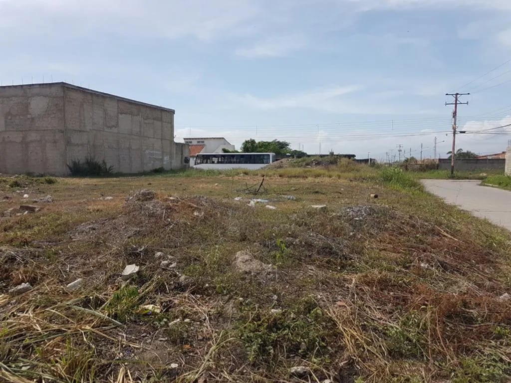 Terreno en Ciudad Alianza, Guacara - 1
