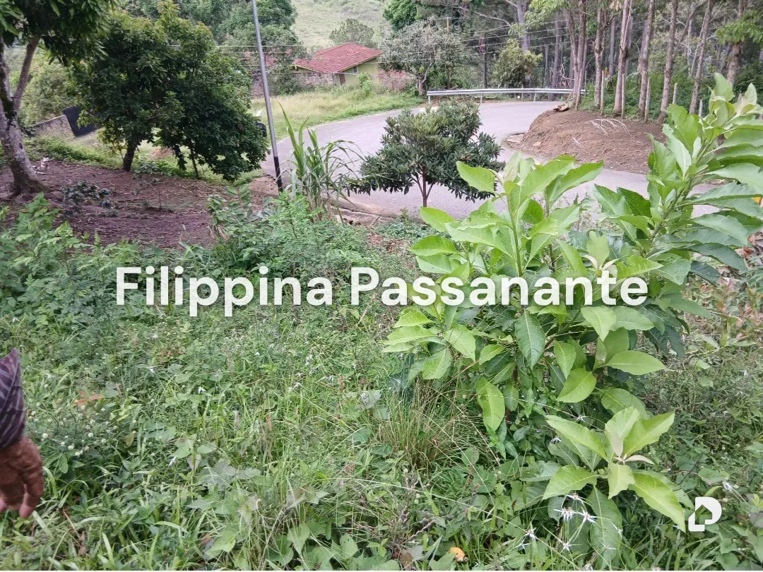 Land in El Copey, Caripe – 3