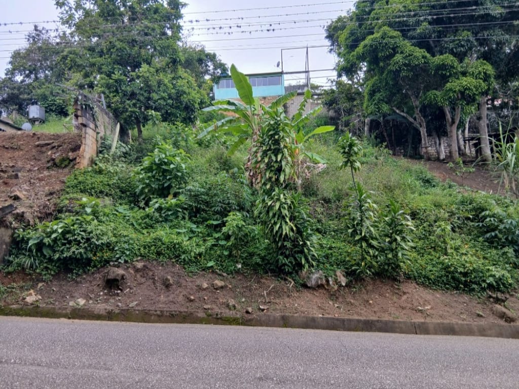 Terreno en Caripe - 1