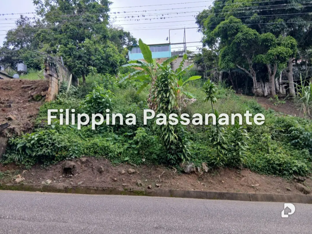 Land in El Copey, Caripe – 1