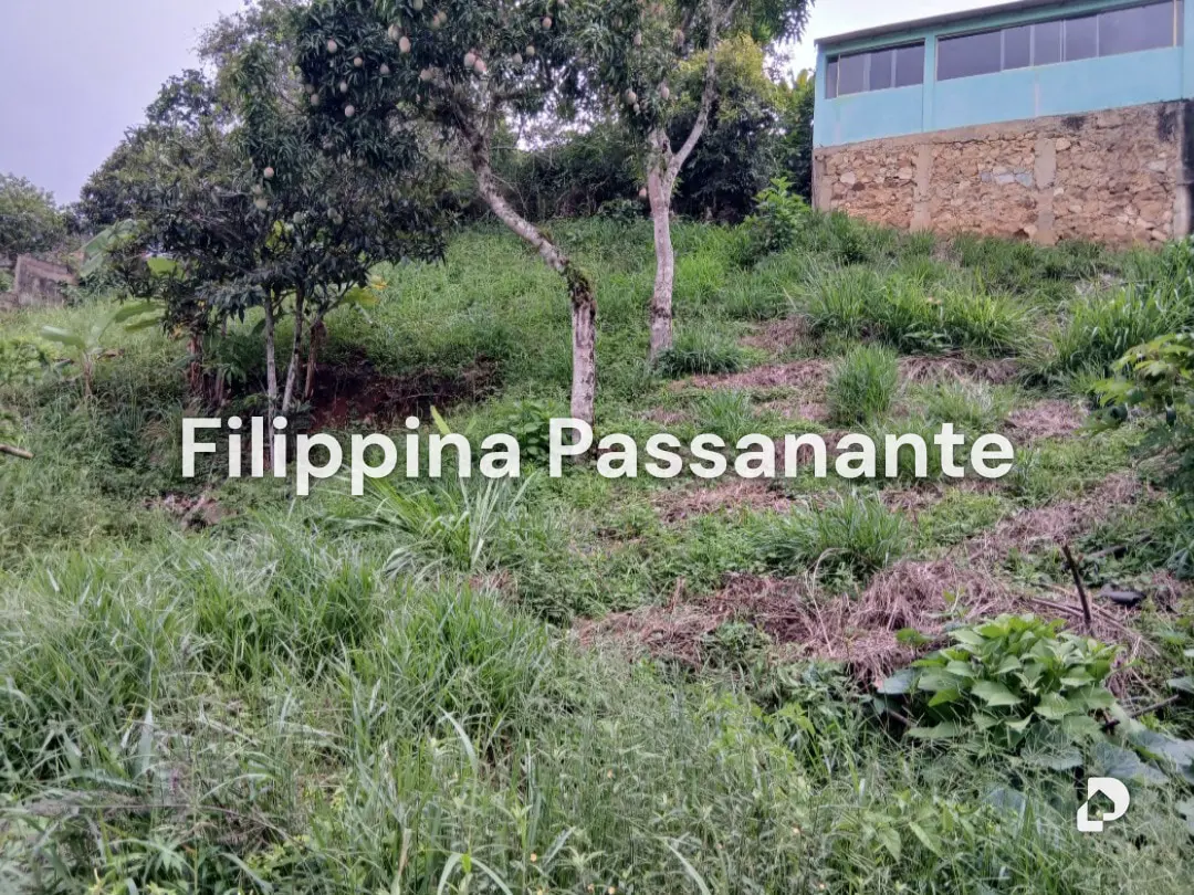 Land in El Copey, Caripe – 2